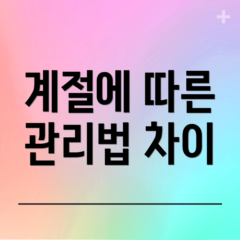 계절에 따른 관리법 차이