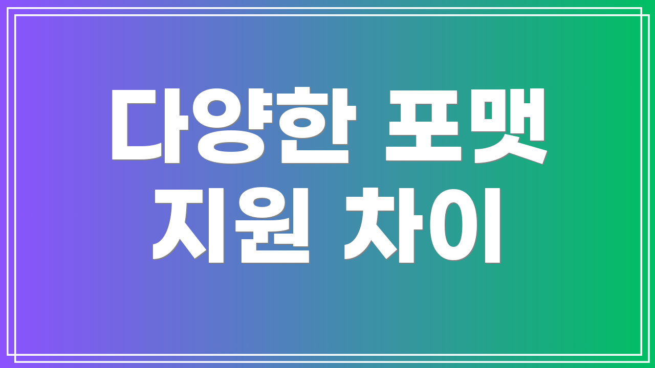 다양한 포맷 지원 차이