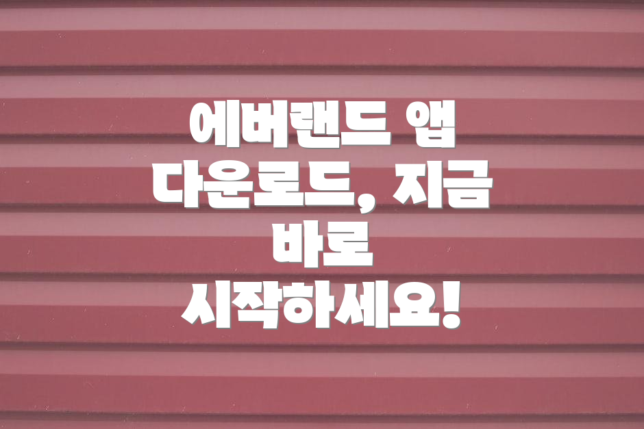 에버랜드 앱 다운로드, 지금 바로 시작하세요!