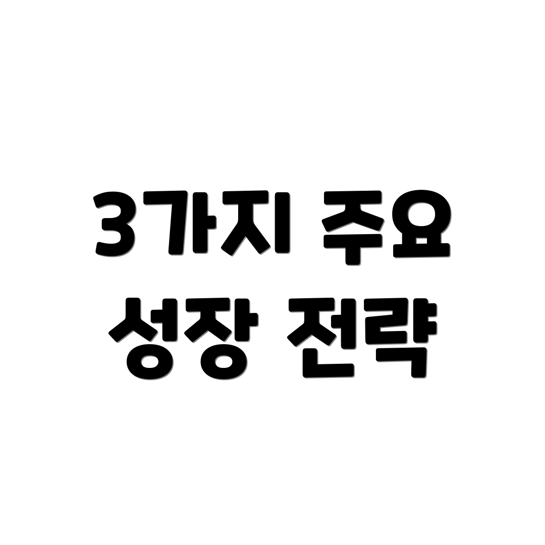 3가지 주요 성장 전략