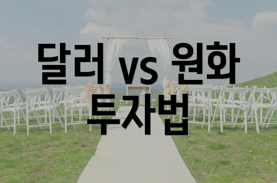 달러 vs 원화 투자법