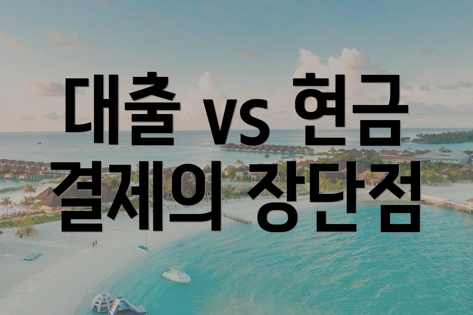 대출 vs 현금 결제의 장단점