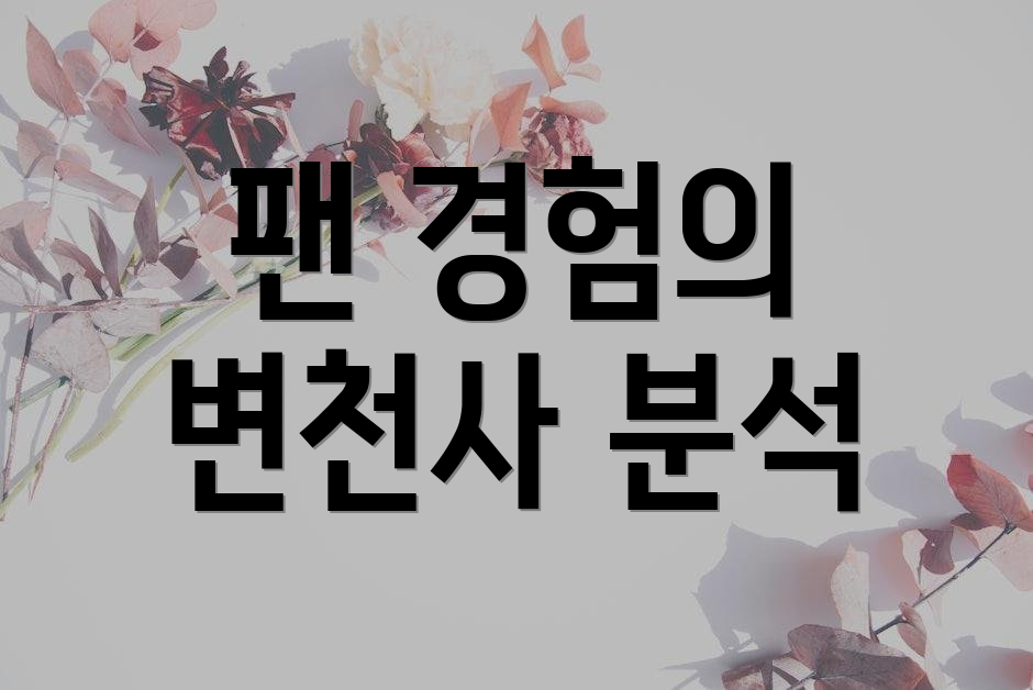 팬 경험의 변천사 분석
