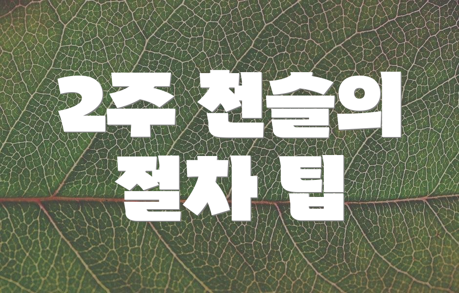 2주 천슬의 절차 팁