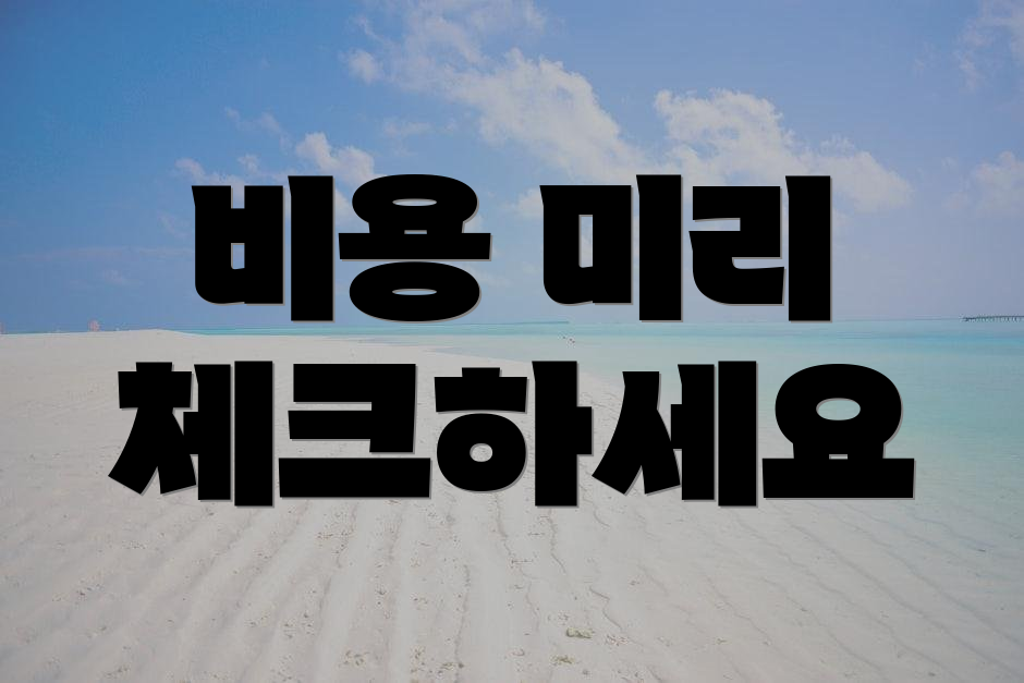 비용 미리 체크하세요