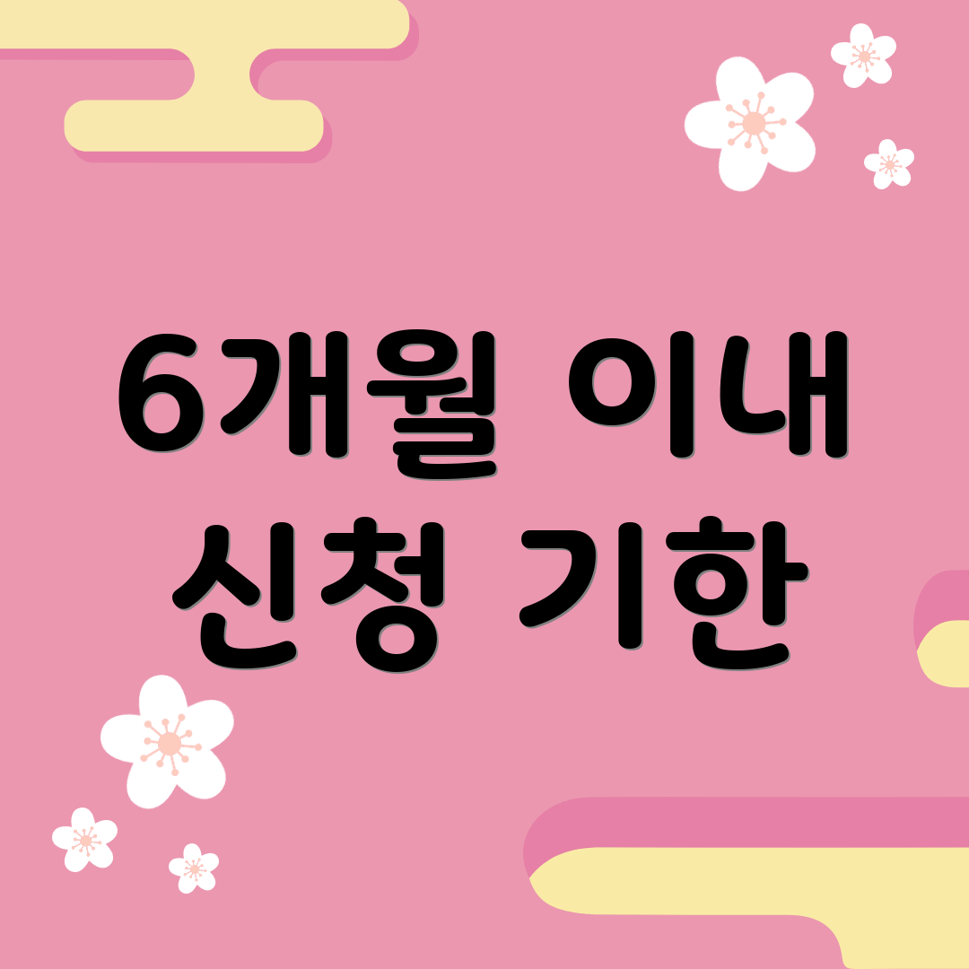 6개월 이내 신청 기한