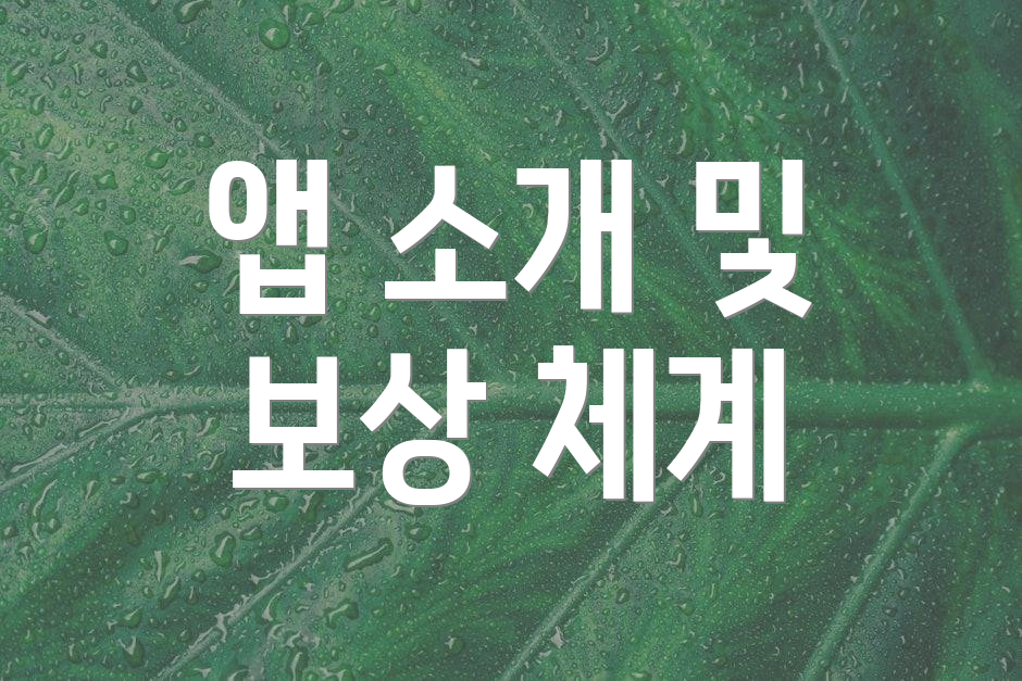 앱 소개 및 보상 체계