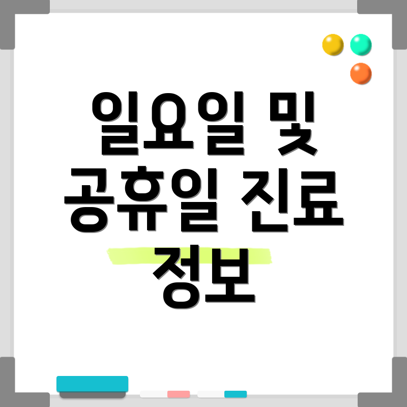 일요일 및 공휴일 진료 정보