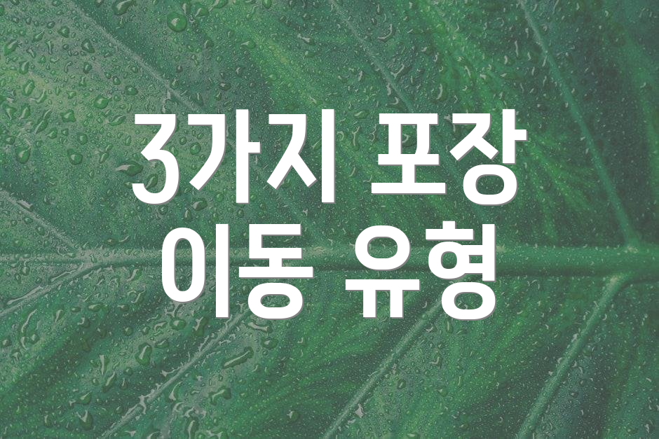 3가지 포장 이동 유형