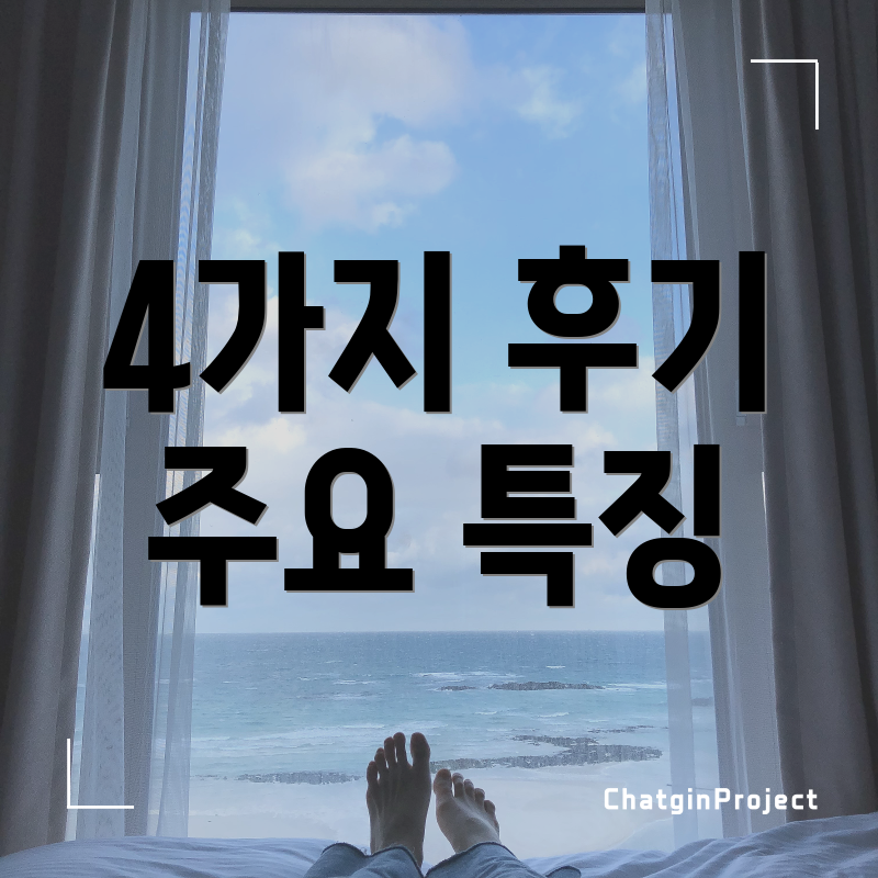 4가지 후기 주요 특징