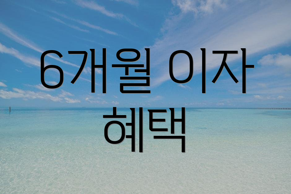 6개월 이자 혜택