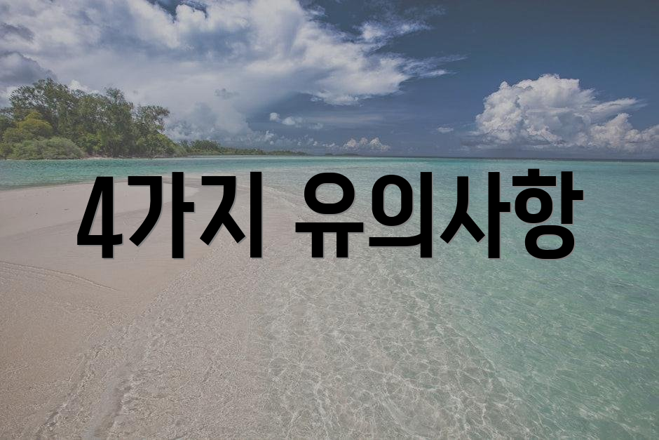 4가지 유의사항