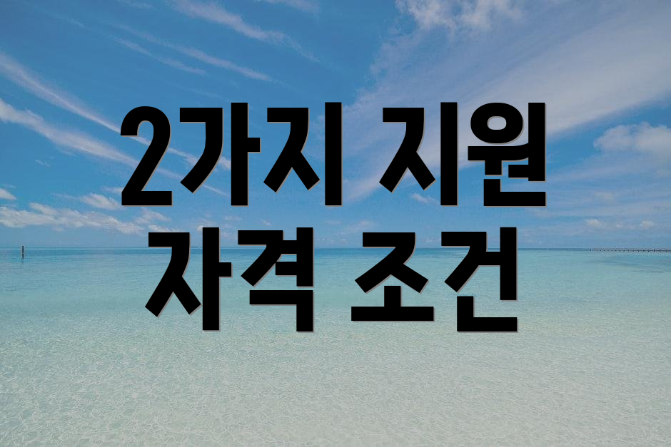 2가지 지원 자격 조건