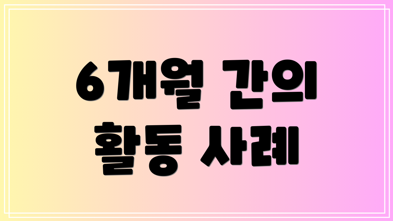 6개월 간의 활동 사례