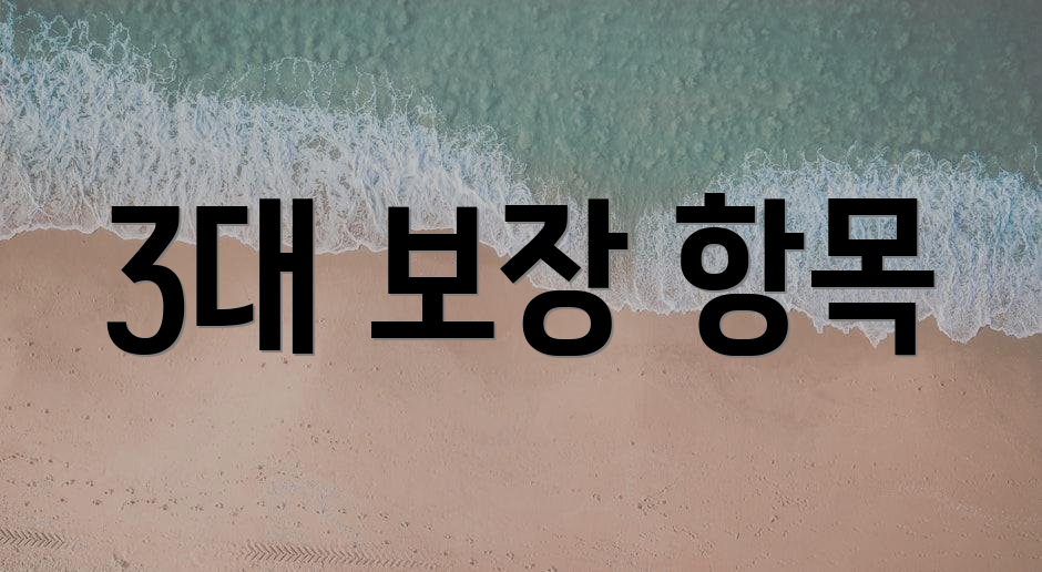 3대 보장 항목