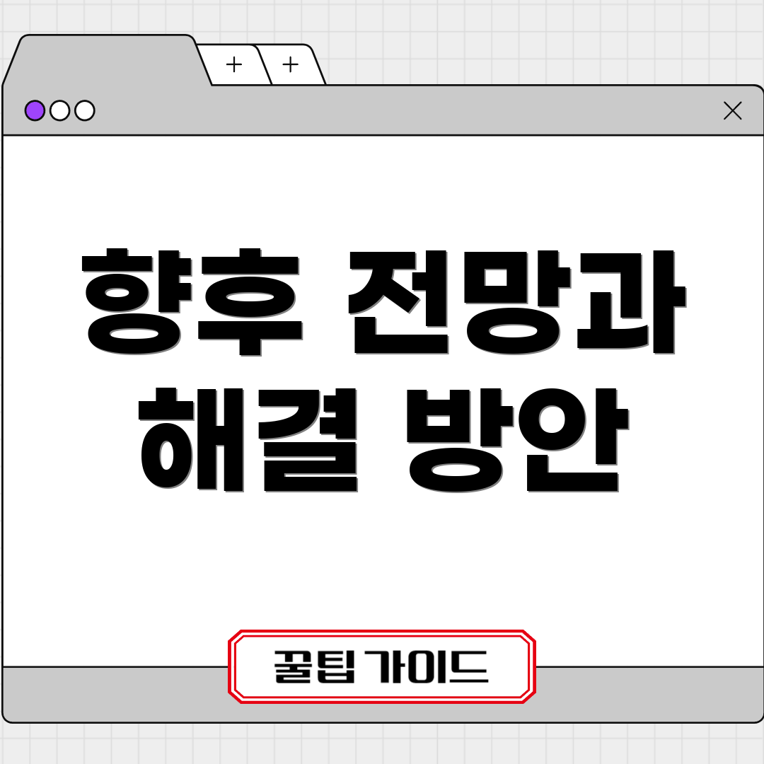 향후 전망과 해결 방안