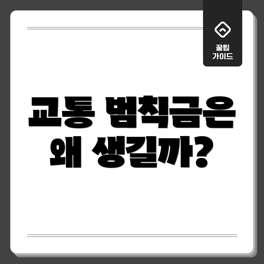 교통 범칙금은 왜 생길까?