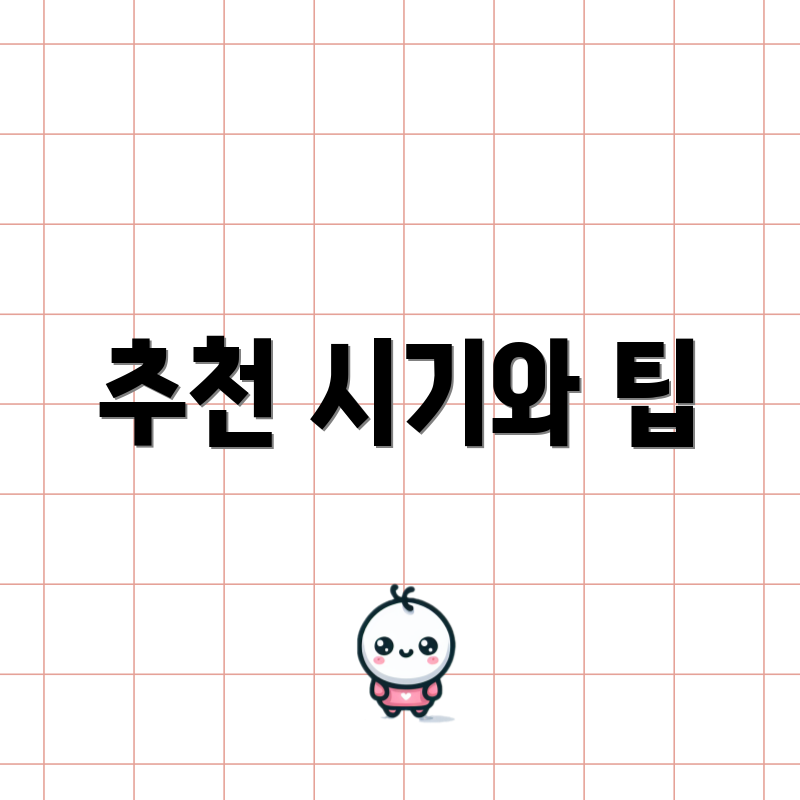 추천 시기와 팁