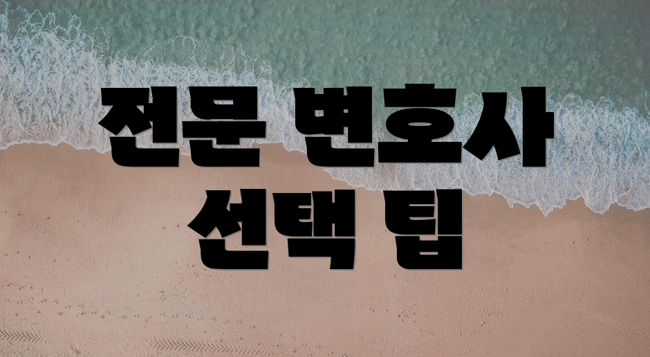 전문 변호사 선택 팁