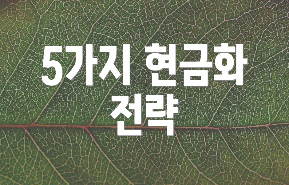 5가지 현금화 전략