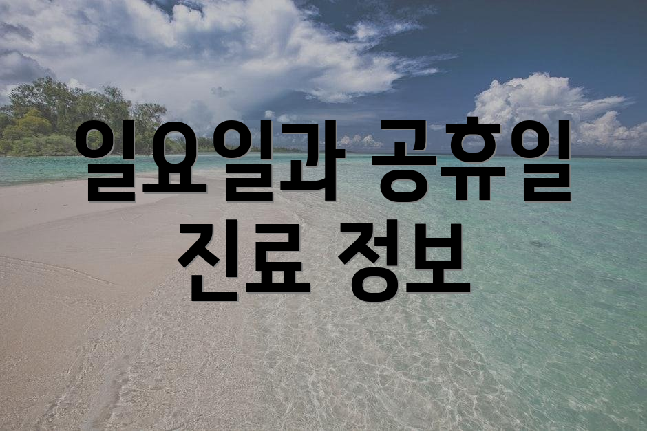 일요일과 공휴일 진료 정보