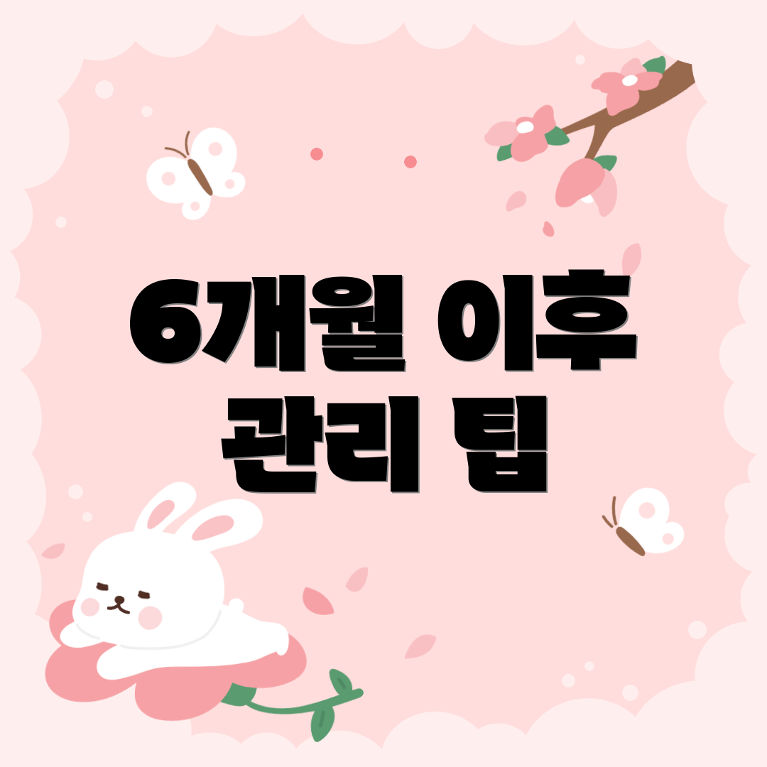 6개월 이후 관리 팁