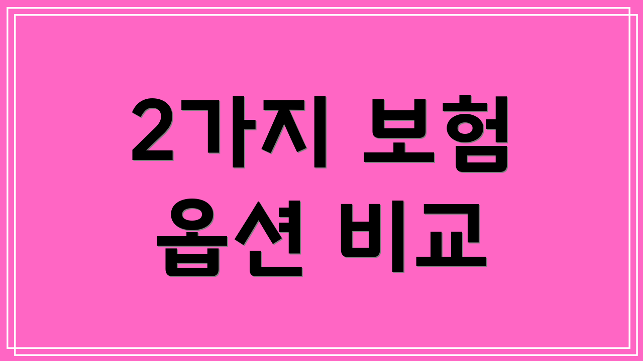 2가지 보험 옵션 비교
