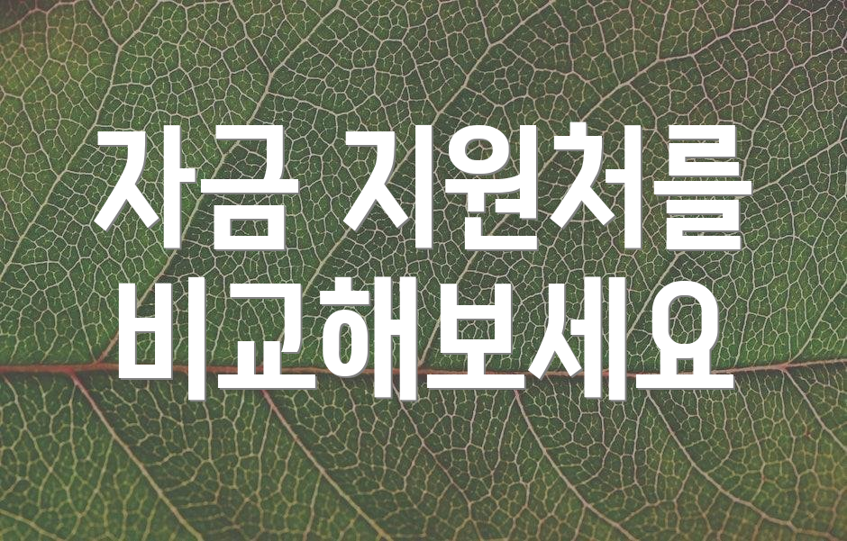 자금 지원처를 비교해보세요