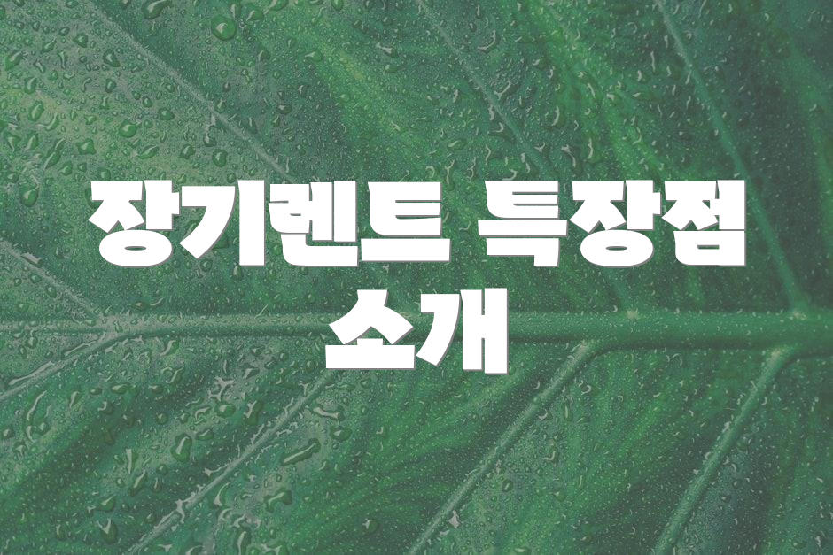 장기렌트 특장점 소개