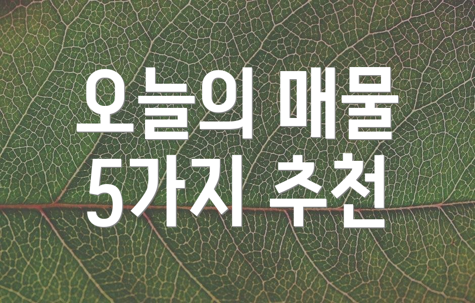 오늘의 매물 5가지 추천