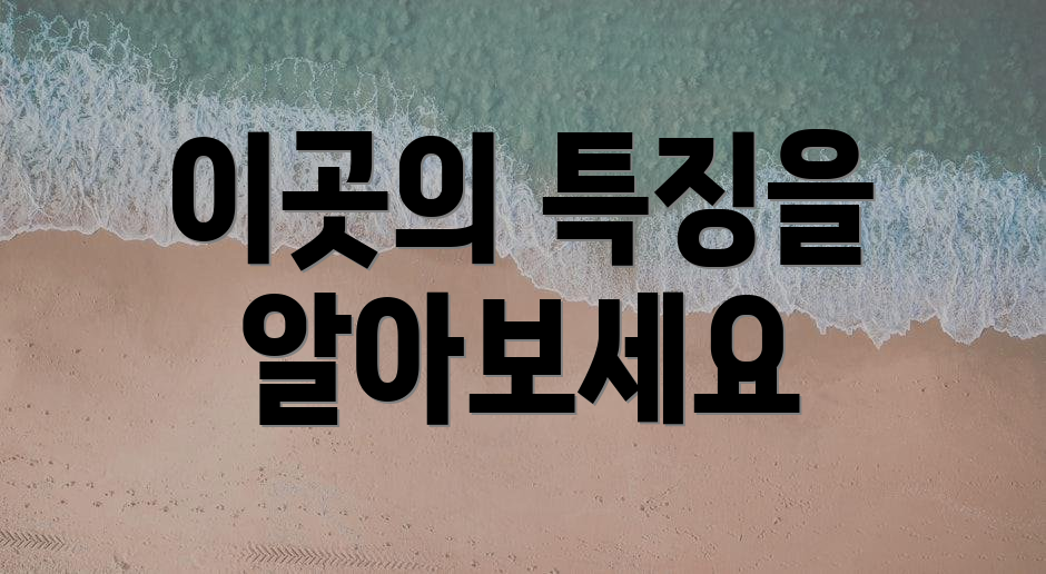 이곳의 특징을 알아보세요