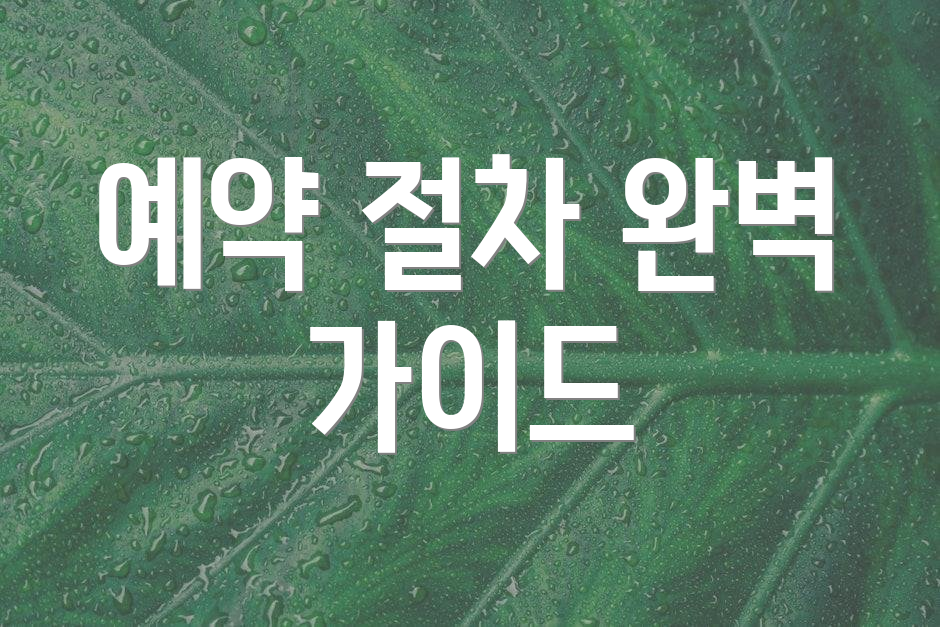 예약 절차 완벽 가이드