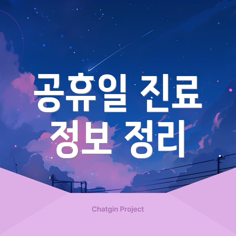 공휴일 진료 정보 정리