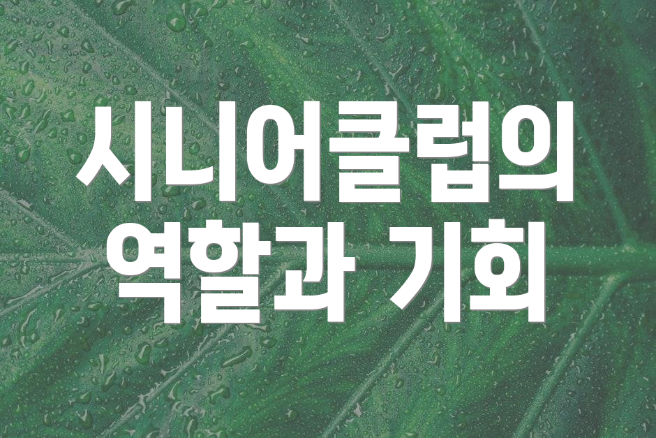 시니어클럽의 역할과 기회
