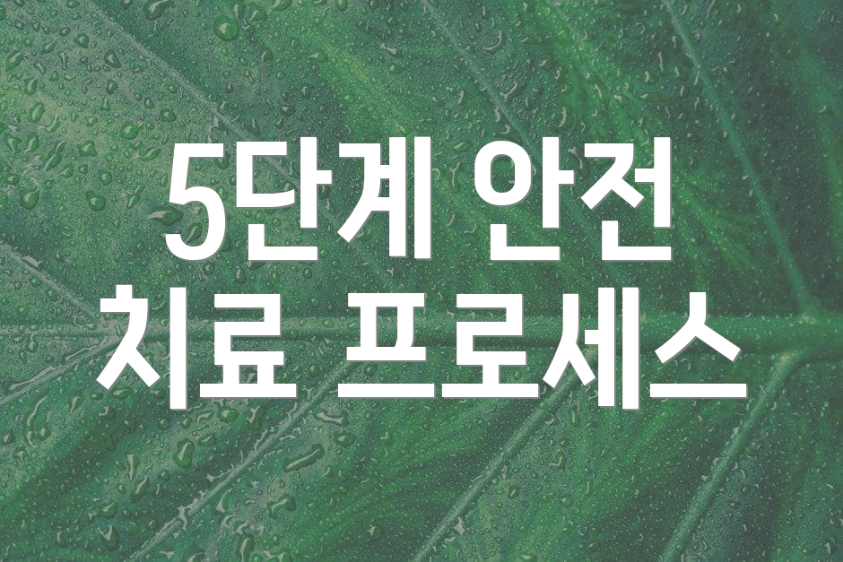 5단계 안전 치료 프로세스