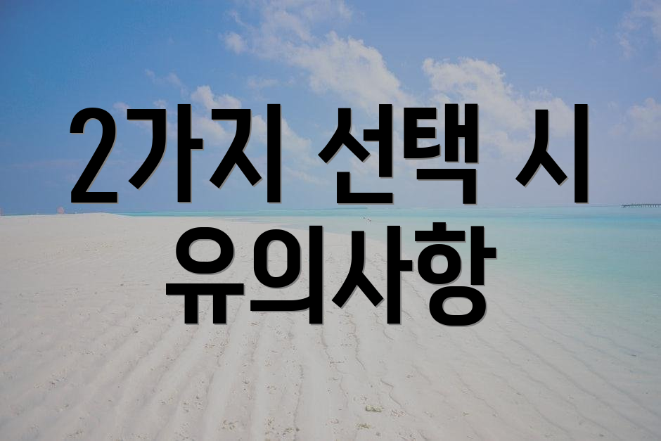 2가지 선택 시 유의사항