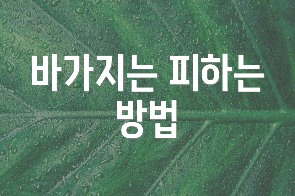 바가지는 피하는 방법
