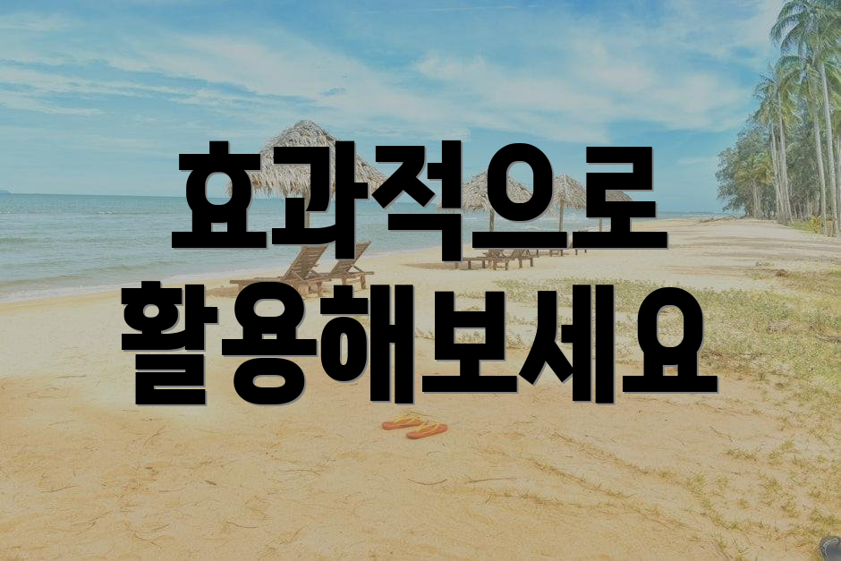 효과적으로 활용해보세요