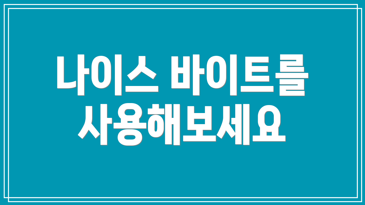 나이스 바이트를 사용해보세요