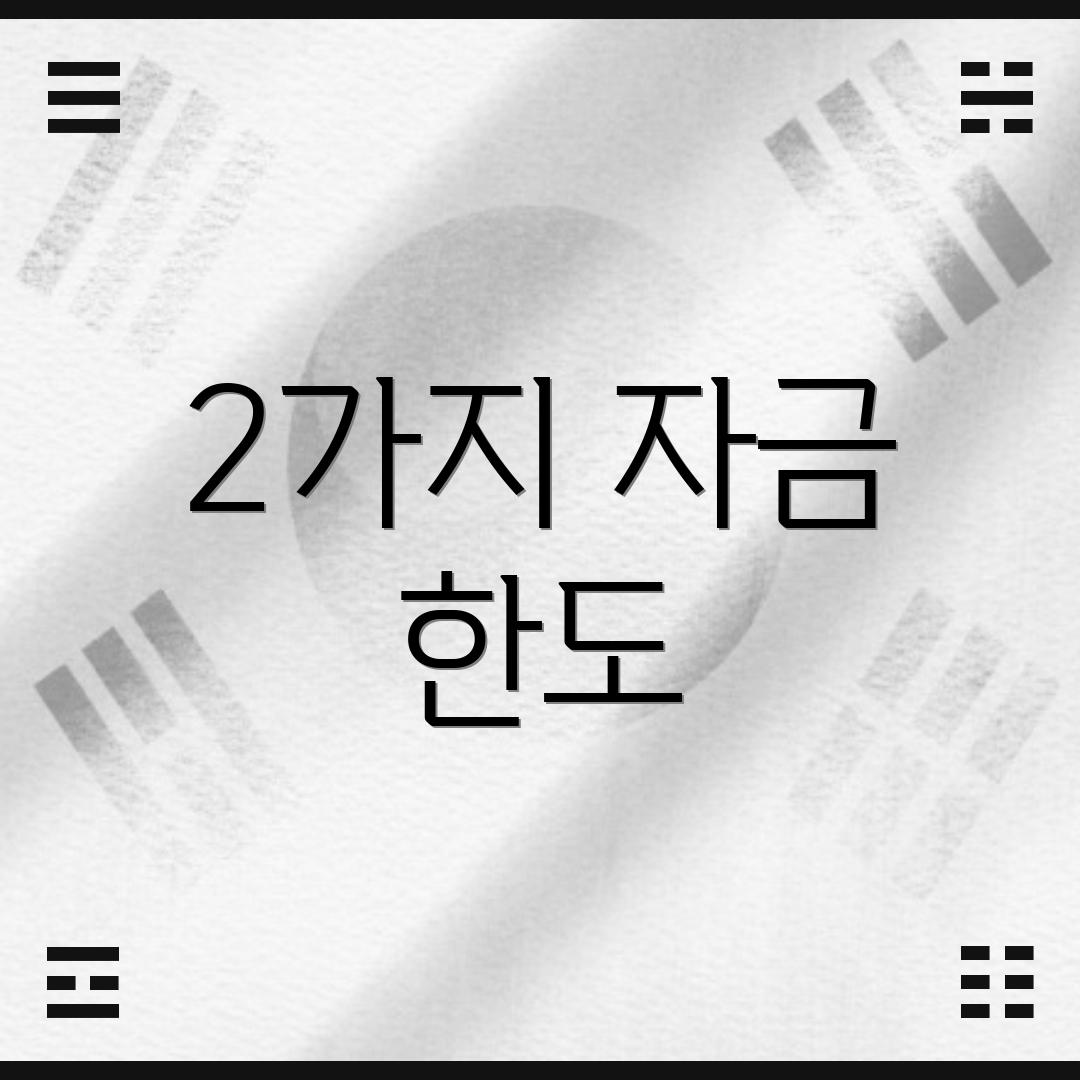 2가지 자금 한도