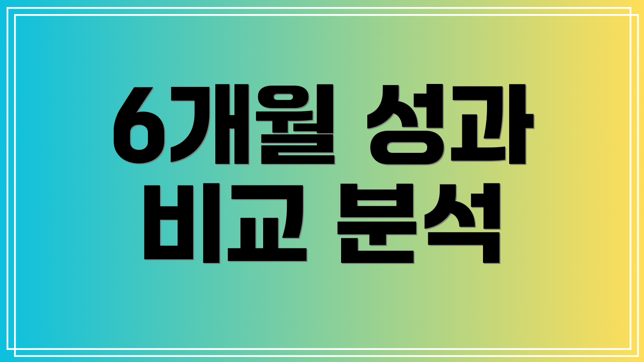 6개월 성과 비교 분석