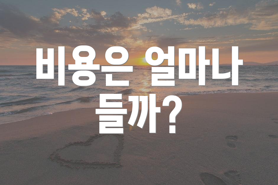 비용은 얼마나 들까?