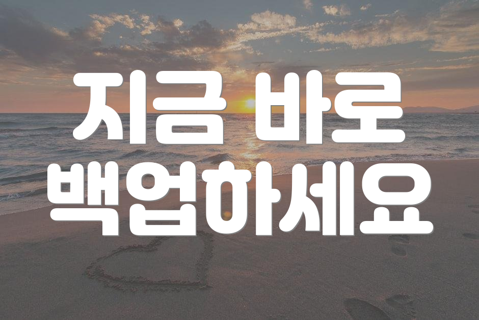 지금 바로 백업하세요