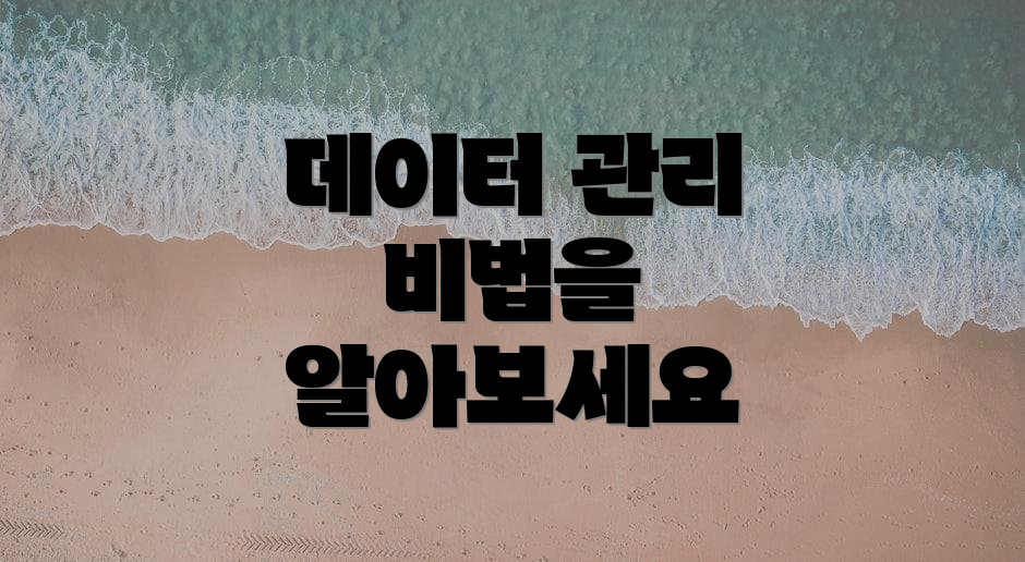 데이터 관리 비법을 알아보세요