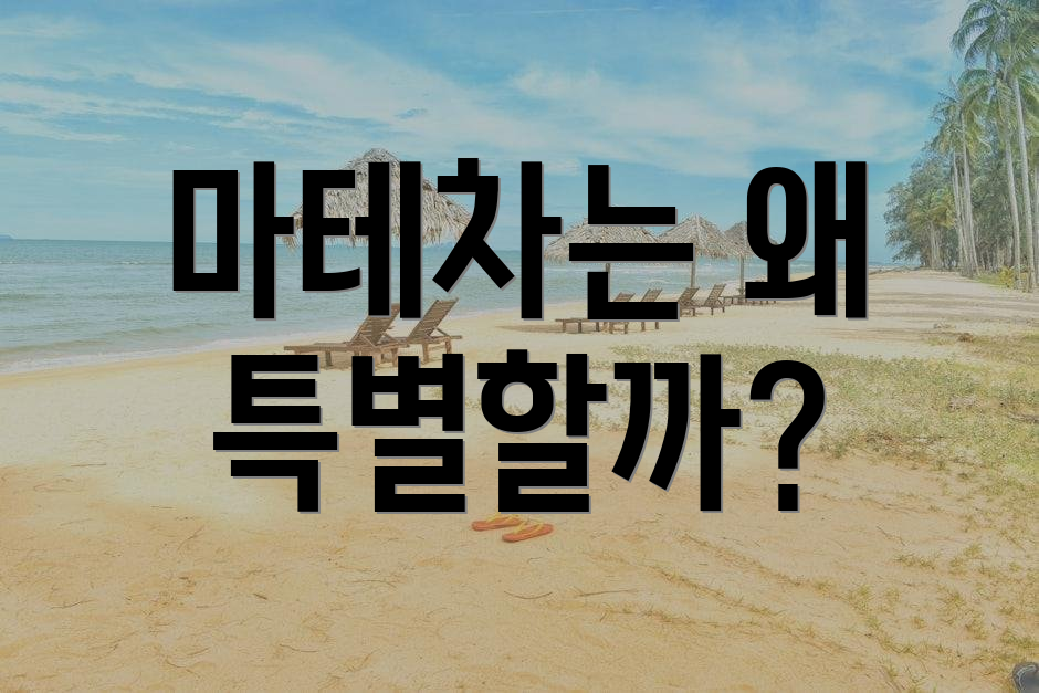 마테차는 왜 특별할까?