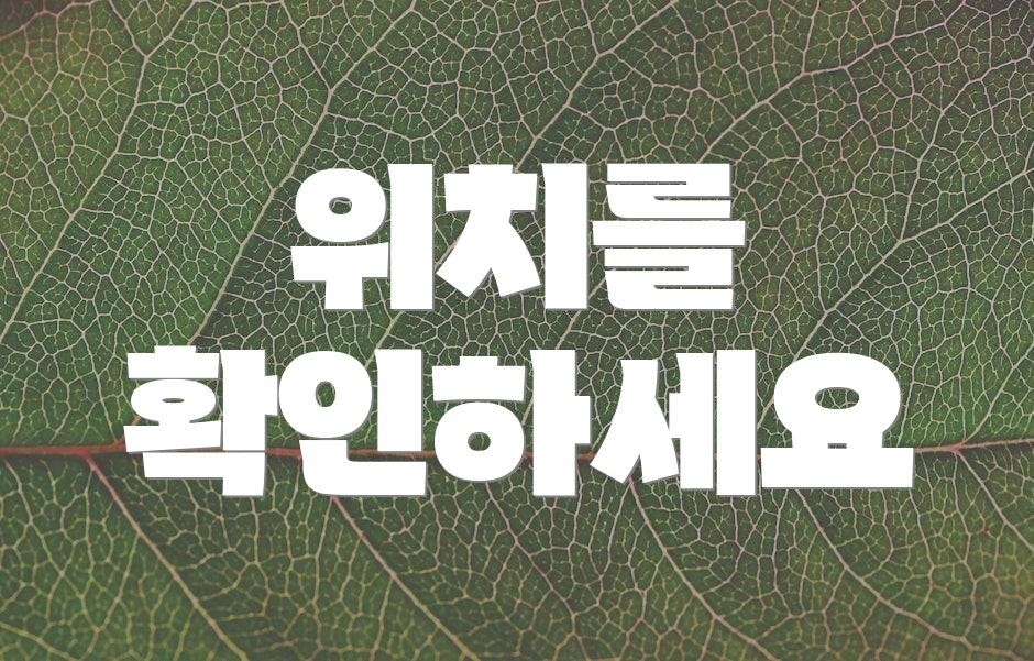 위치를 확인하세요