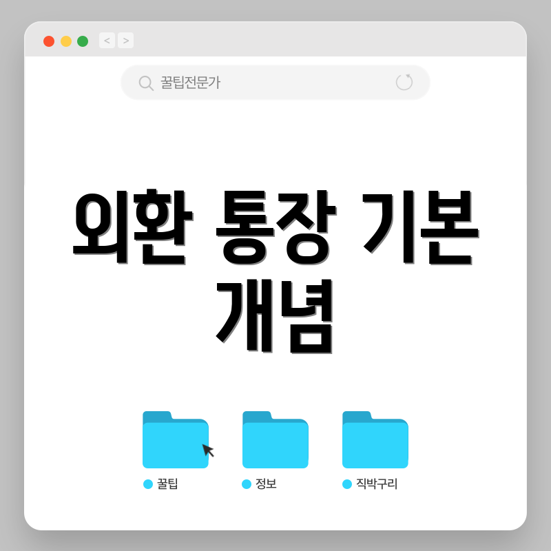 외환 통장 기본 개념