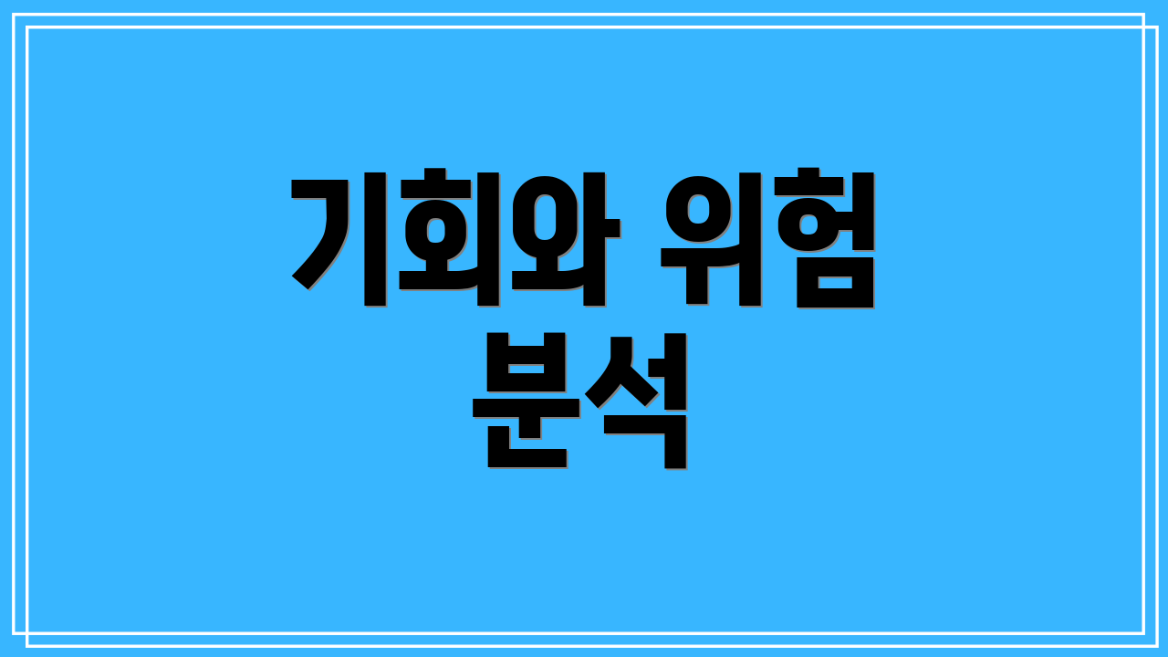 기회와 위험 분석