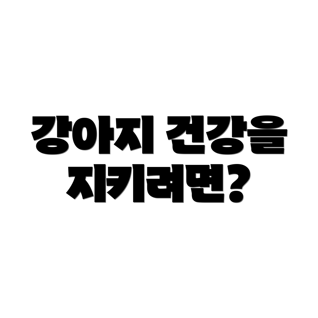 강아지 건강을 지키려면?