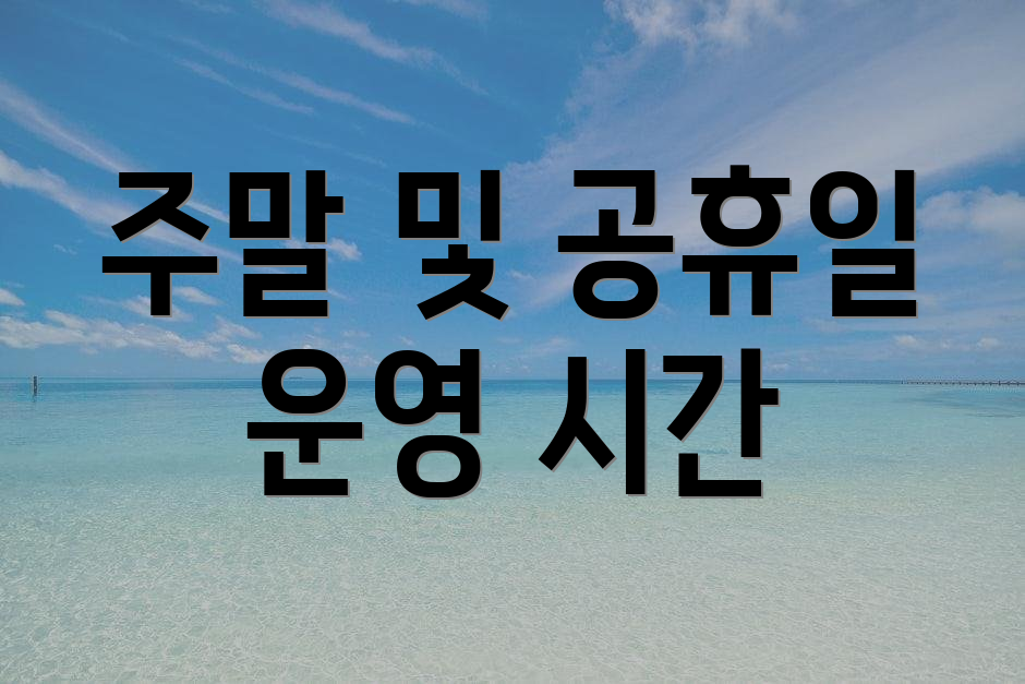 주말 및 공휴일 운영 시간